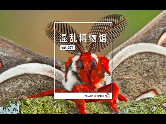 蟲的附肢 (下)| 混亂博物館